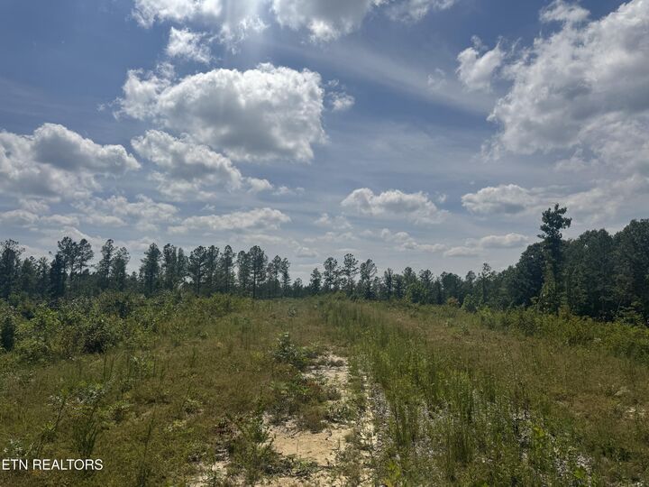 Property Photo: Lot #12 Burrville Rd TN 37872