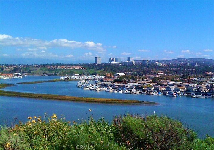 Property Photo:  319 Concord  CA 92660 