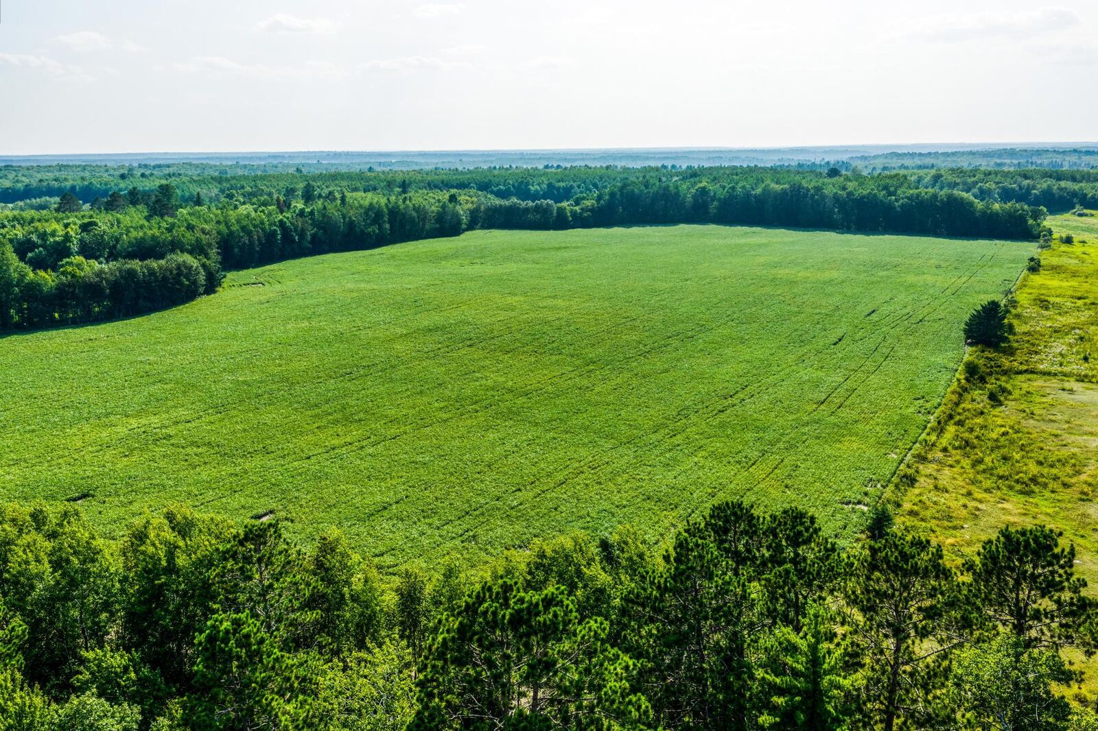 Property Photo: Tbd Buzzle Road NW MN 56676