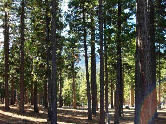 Property Photo:  296 Big Cedar Lane  CA 96122 