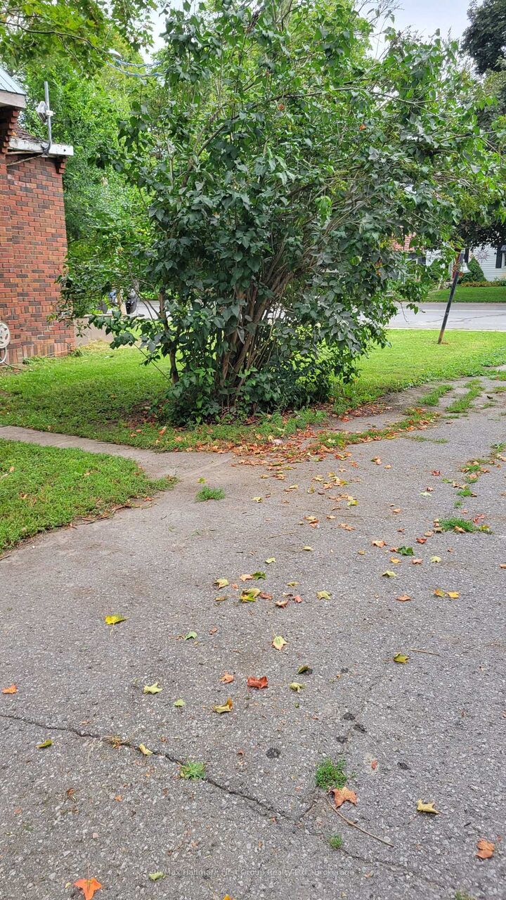 Property Photo:  312 Colborne Street  ON K0K 3J0 