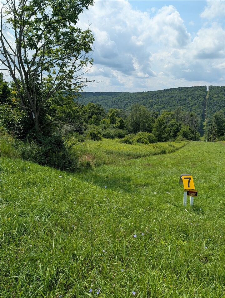 Property Photo: 0 Newtown Road NY 14869