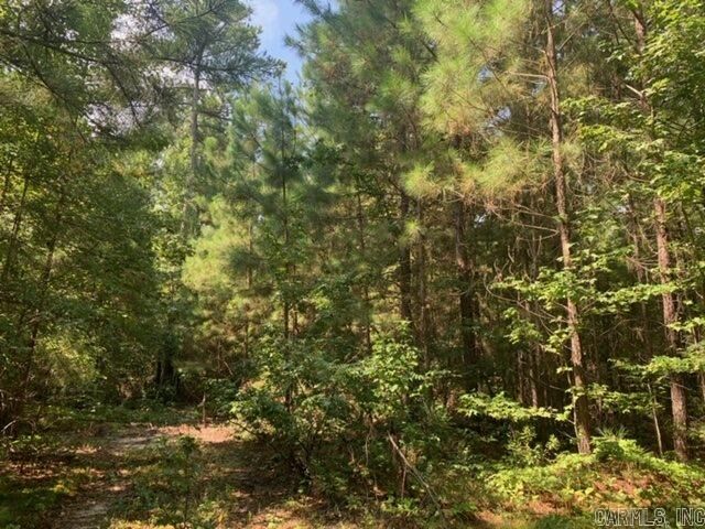 Property Photo: Lot 4 Oklahoma Inn Road AR 72015