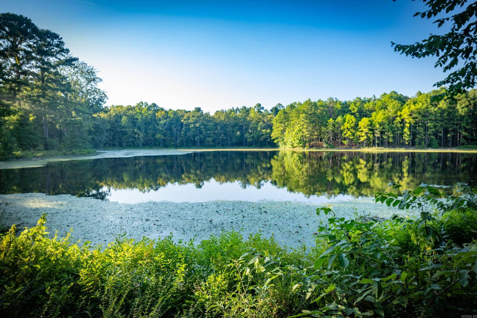Property Photo:  37118 Kanis Road  AR 72122-9686 