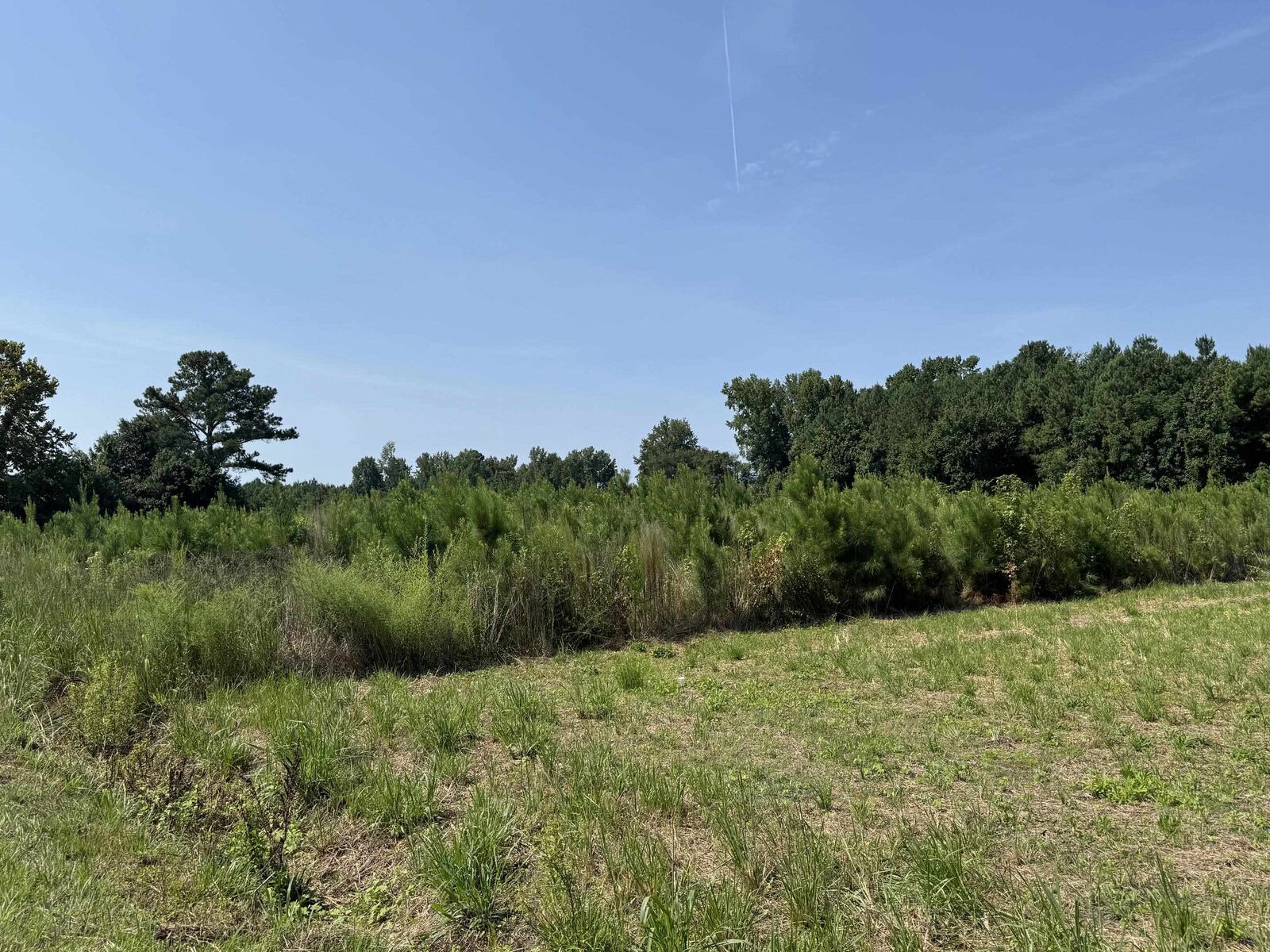 Property Photo:  Tbd Spring Branch Rd.  SC 29581 