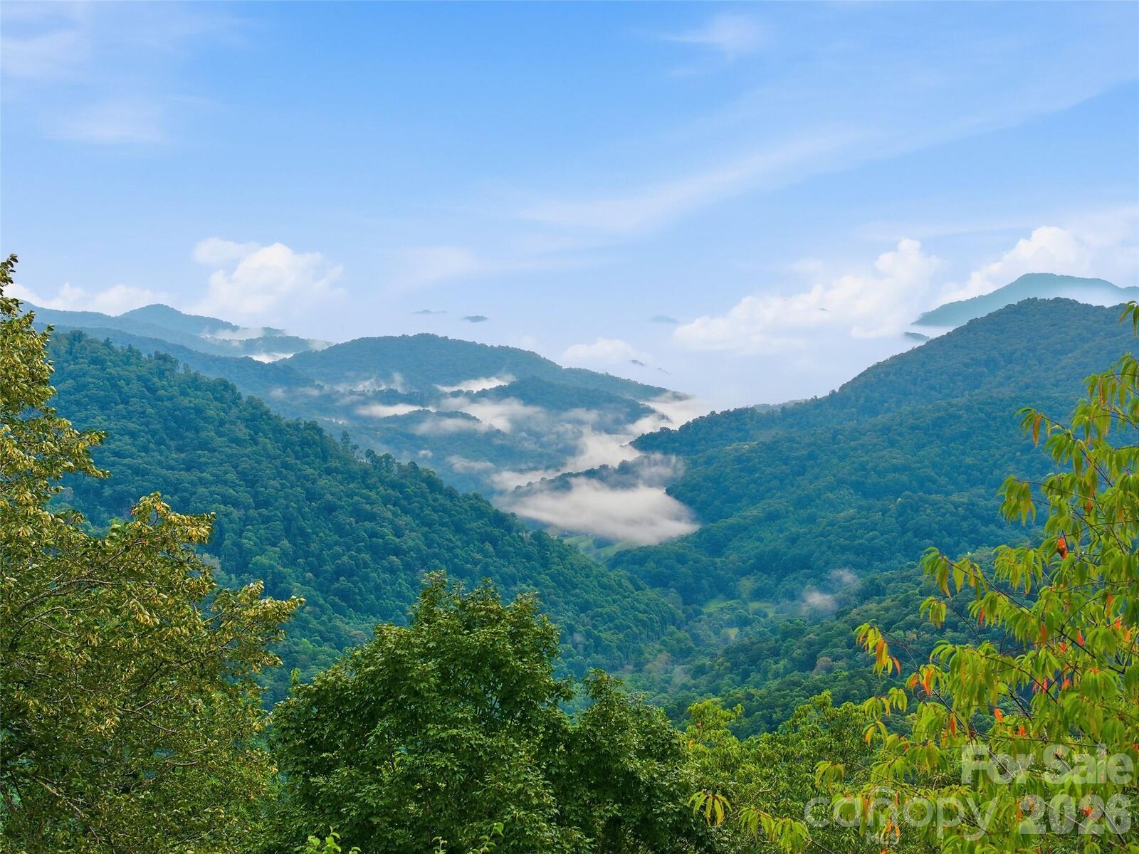 Property Photo:  Lot 50 Running Cedar Drive  NC 28754 