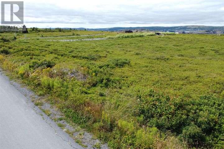 Property Photo:  Lot 1 Lighthouse Road  NL A0A 3J0 