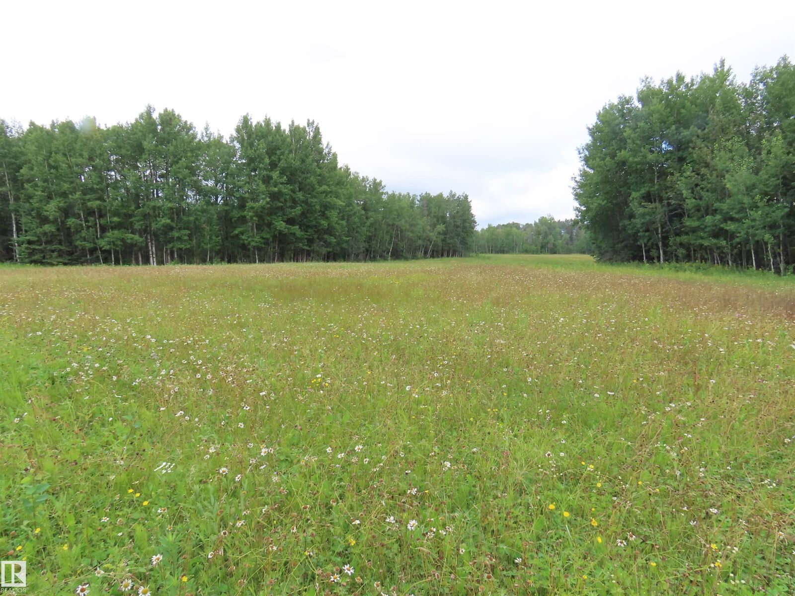 Property Photo: 2217 Township 560 AB T0E 1V0