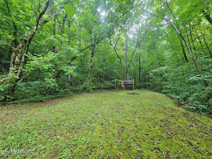 Property Photo:  890 Indian Gap Rd  TN 37876 