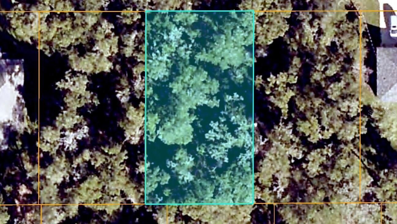 Property Photo: SE 139th Lane FL 34491