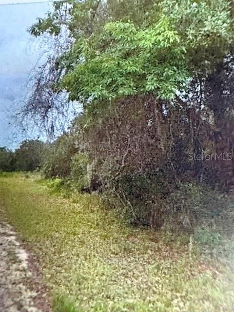 Property Photo: Walton FL 34434