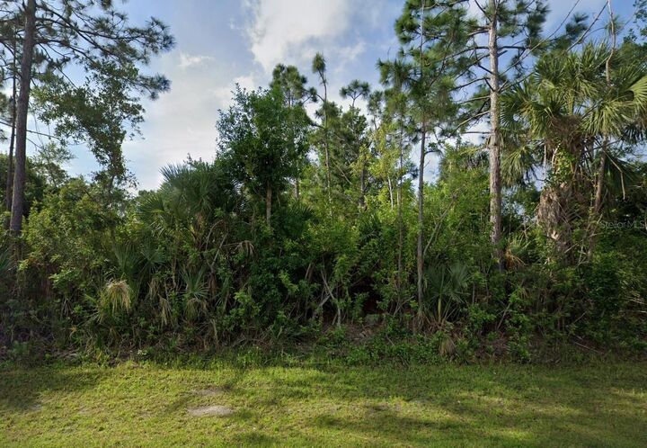 Property Photo:  12475 Evelyn Avenue  FL 33981 