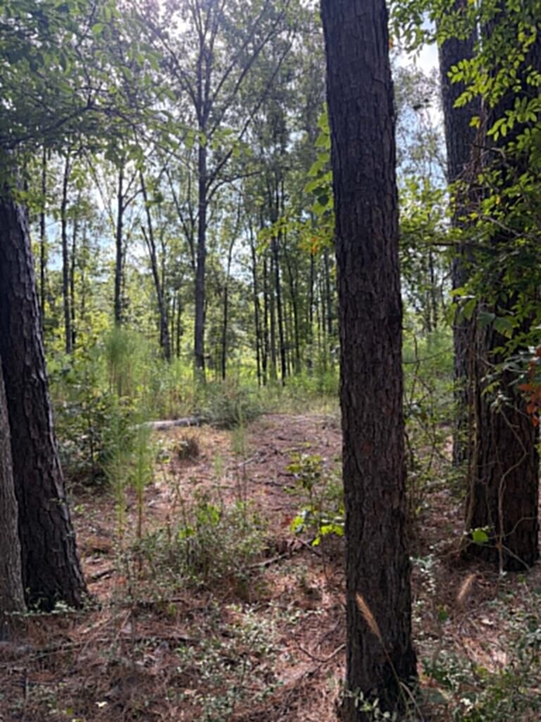 Property Photo:  R(3)155685 Miles Road  TX 75901 
