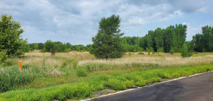 Property Photo:  Xxx County Road 37  MN 56260 