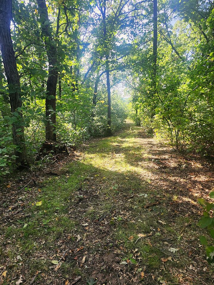 Property Photo: Tbd 400th Street MN 56438
