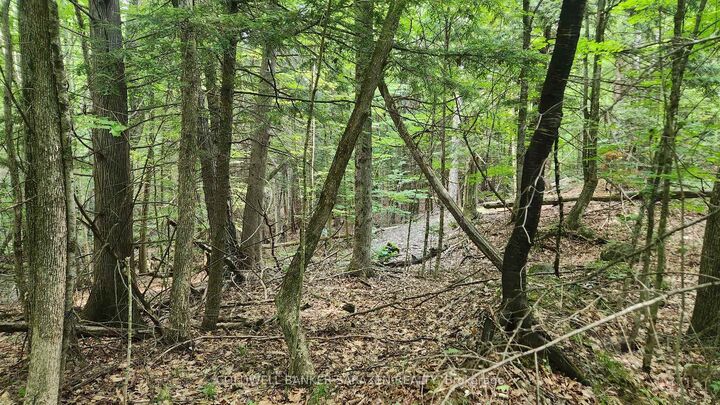 Property Photo:  00 Canaan Road  ON K7V 3Z4 