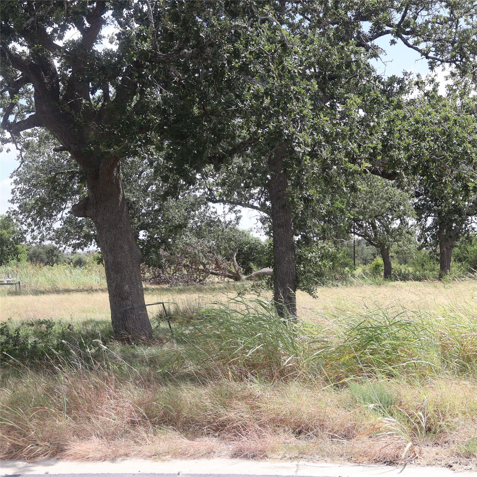 Property Photo:  112 Mesones Road  TX 76527 