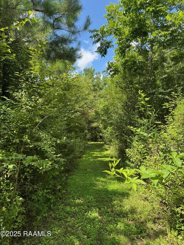 Property Photo: Tbd Lot 5 Frozard Road 5 LA 70512
