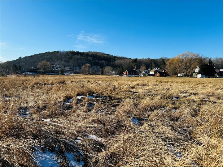 Property Photo: 171 Cronk Lane NY 12434