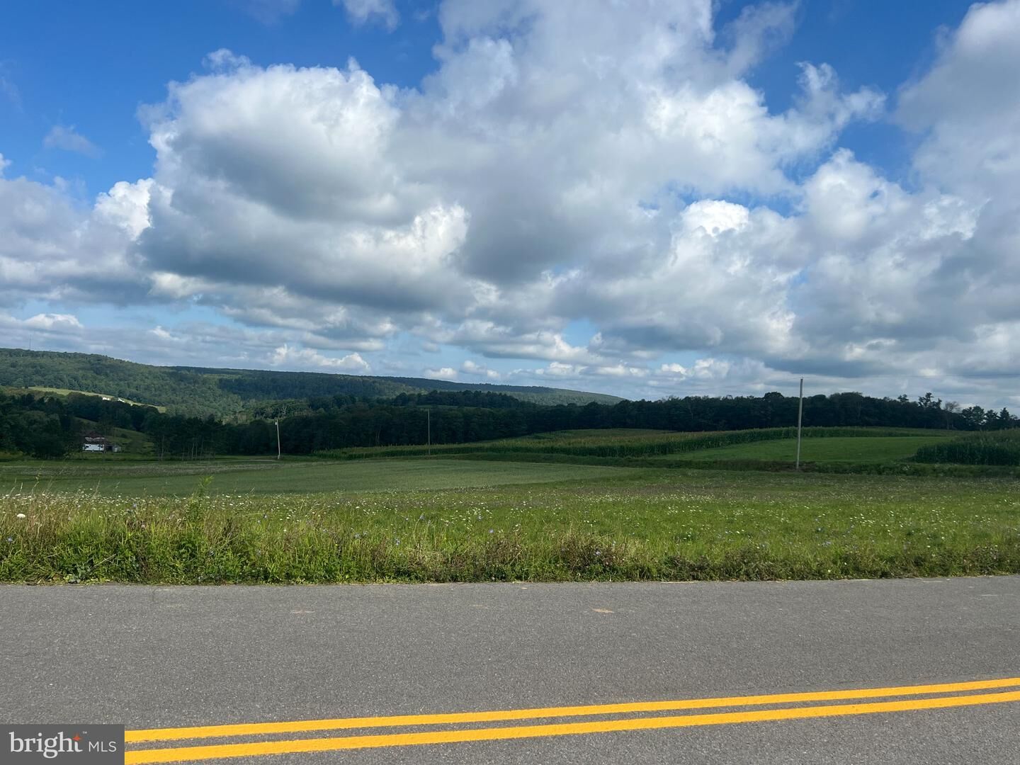 Property Photo:  Green Lantern Road  MD 21539 