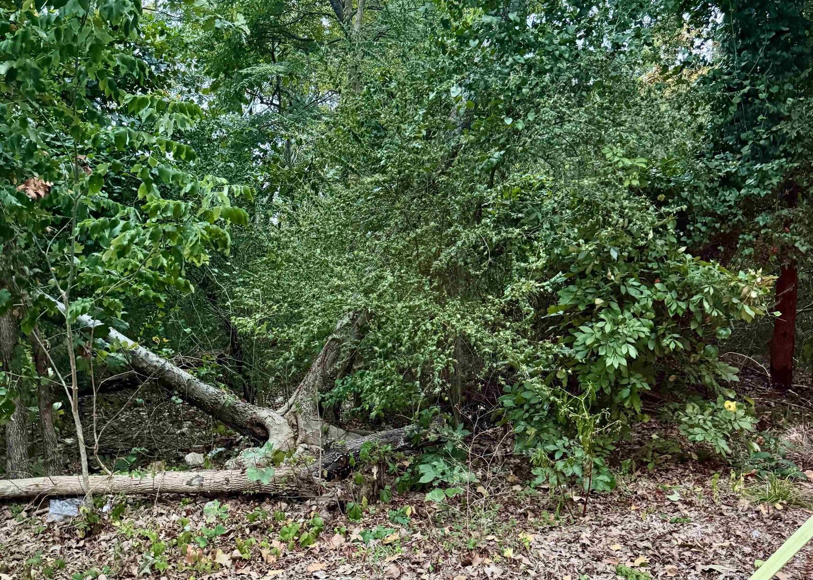 Property Photo: Lot 26 Lee Summit Dr. AR 72202