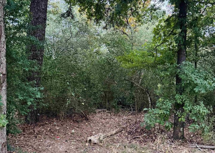 Property Photo: Lot 24 Lee Summit Dr. AR 72202