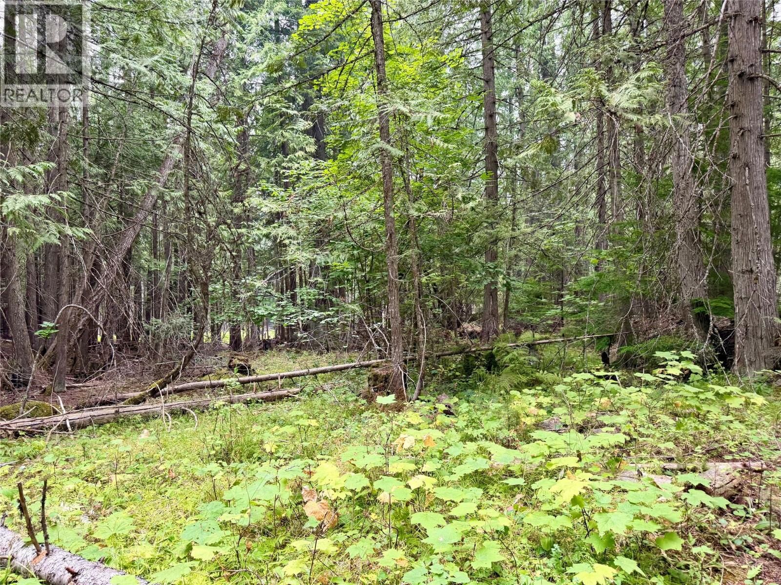 Property Photo:  Harrop-Procter Road  BC V1L 6R4 
