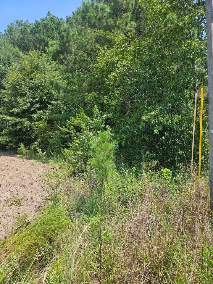 Property Photo: 0 Wolfman Lane # B 4-B SC 29479