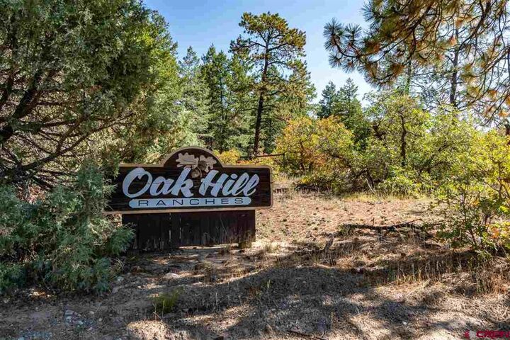 Property Photo:  307 Nature's Way  CO 81147 