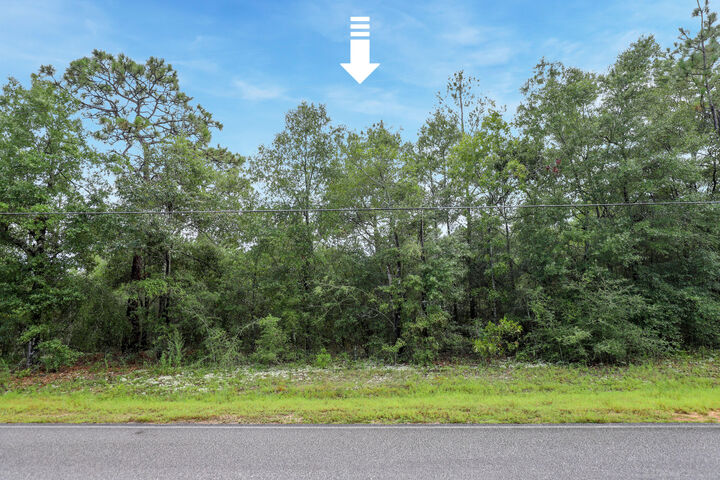 Property Photo: Lot 8 Oakwood Lakes Boulevard FL 32433