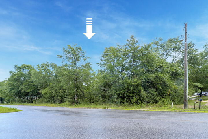 Property Photo:  Lot 19 Fairfield Drive  FL 32433 