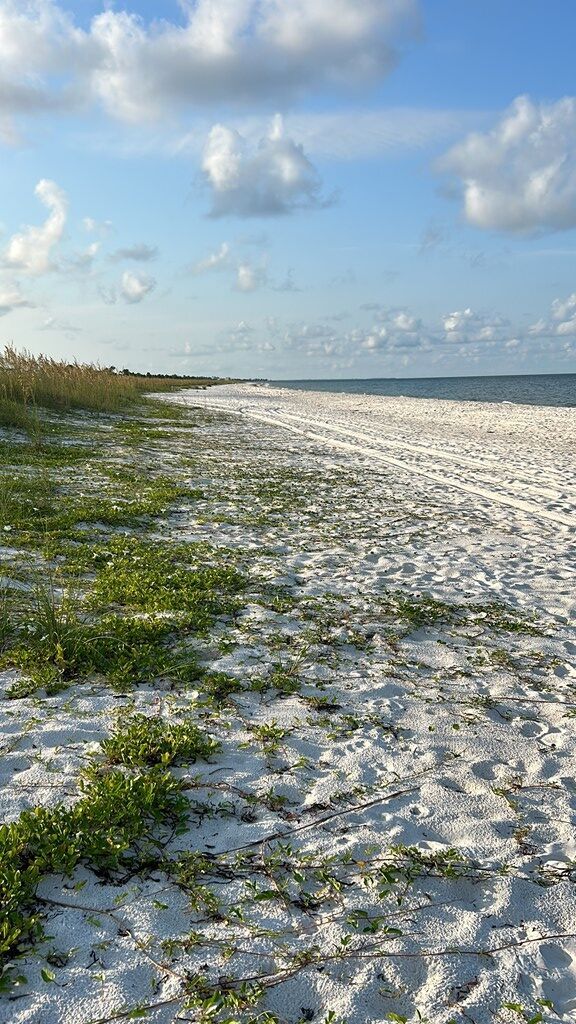 Property Photo: Tbd Olive Ave FL 32456