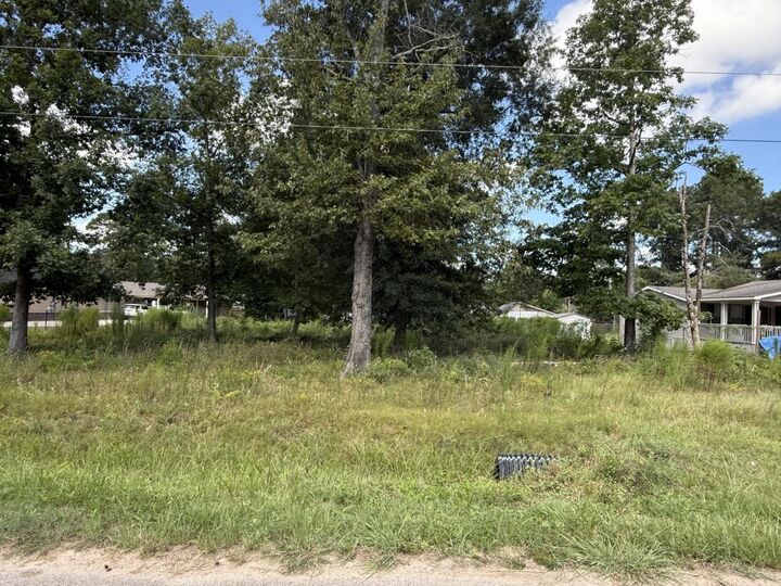 Property Photo: 23923 Paper Wasp Lane TX 77357
