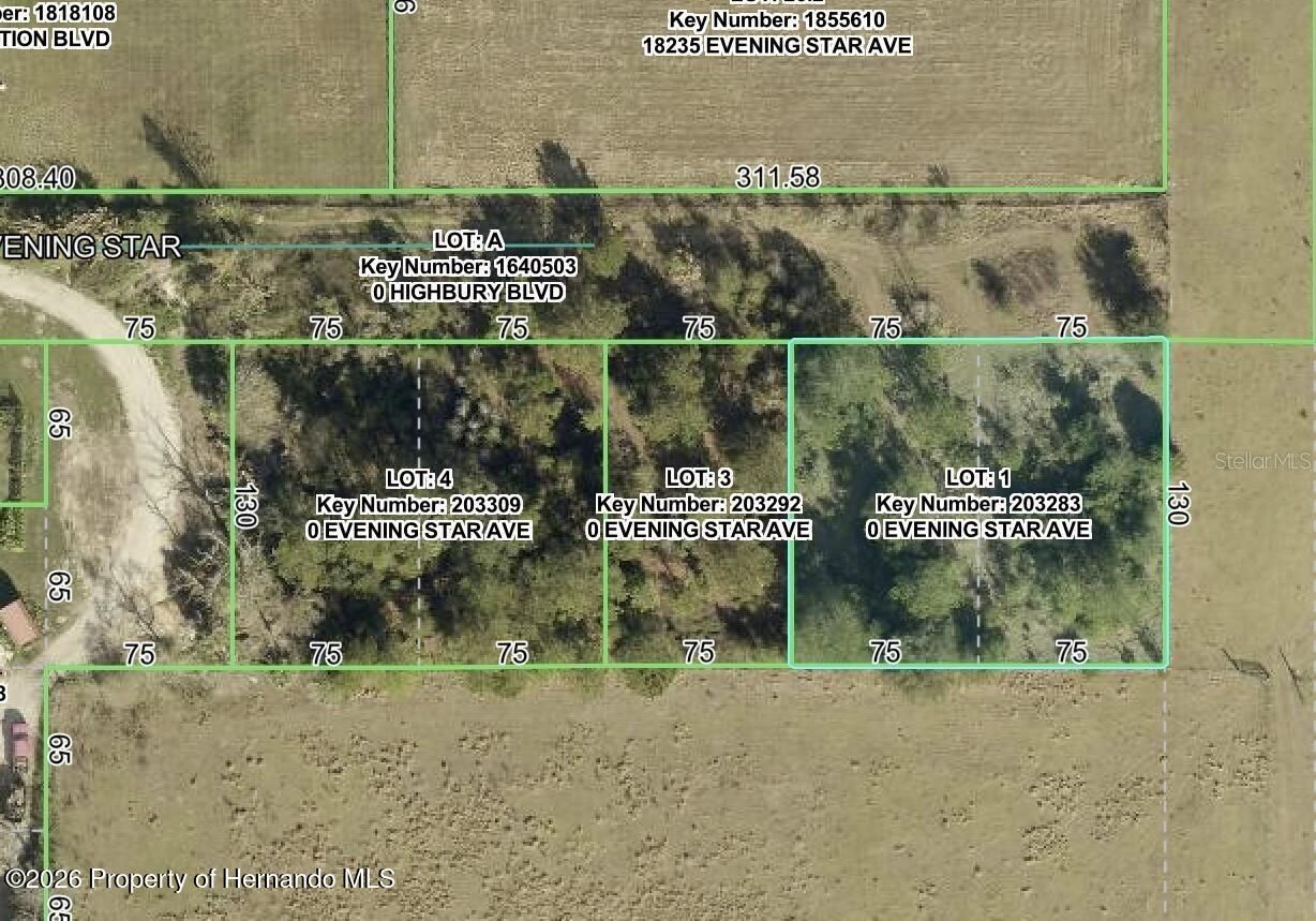 Property Photo: 0 Evening Star Avenue FL 34604