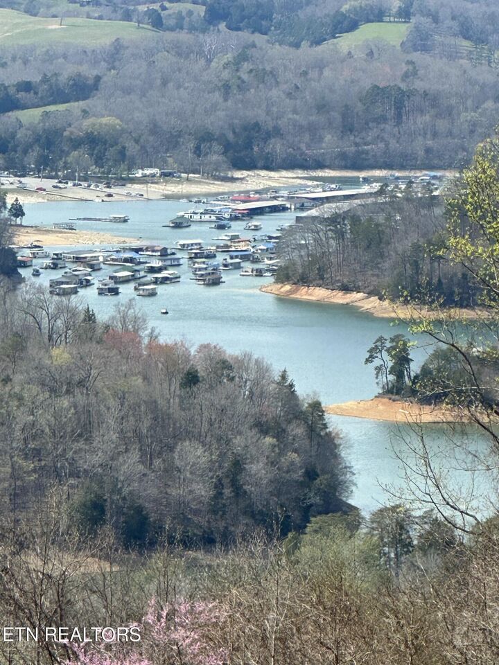 Property Photo:  Bob Wright Lot 32 Rd  TN 37807 