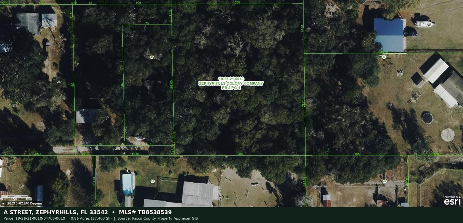 Property Photo: A Street FL 33542