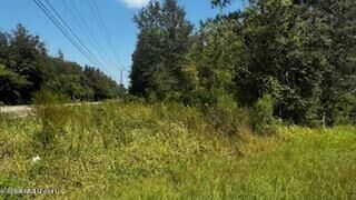 Property Photo:  Three Rivers Road  MS 39503 