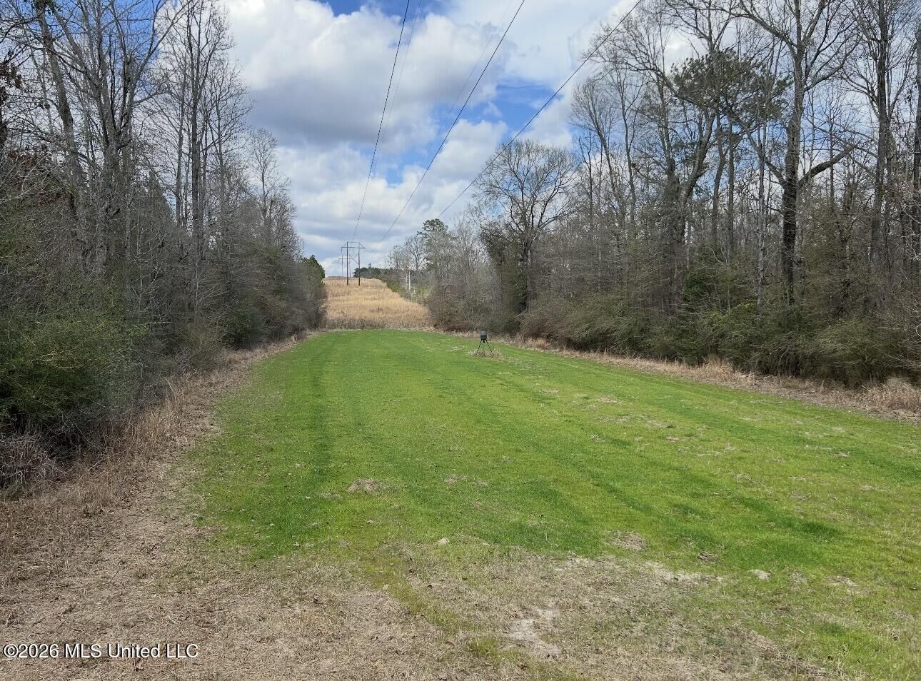Property Photo: 56 Dogwood Drive MS 39423