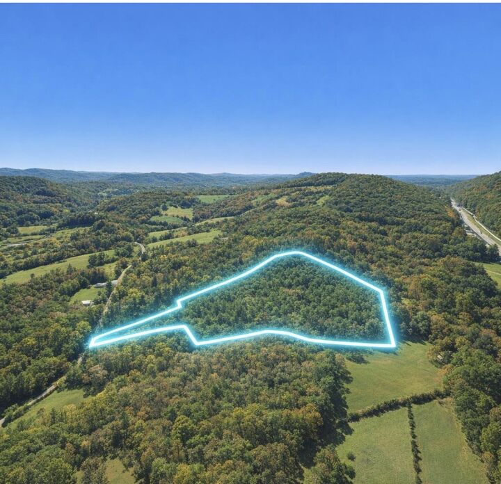 Property Photo: 0 Black Oak Ridge Road TN 37321