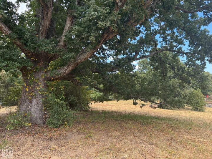 Property Photo:  1385 County Road 476  AR 72404 