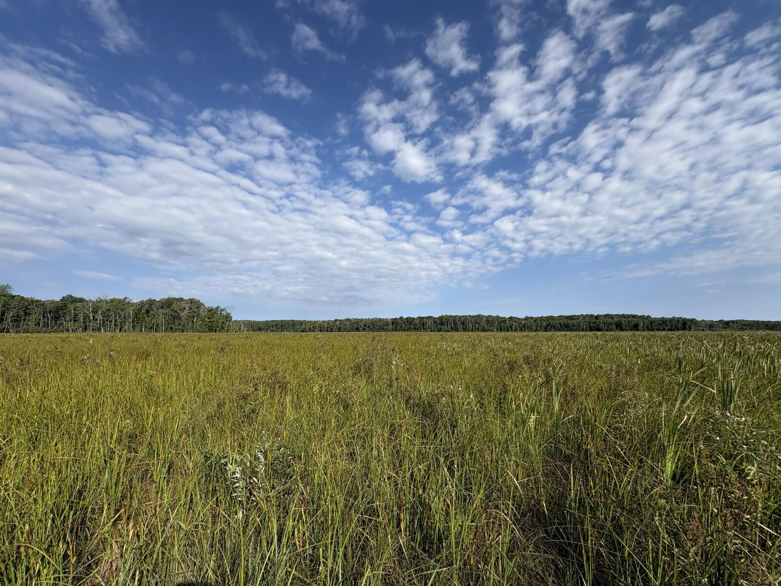 Property Photo:  Xxx Meadowview Road  MN 56401 