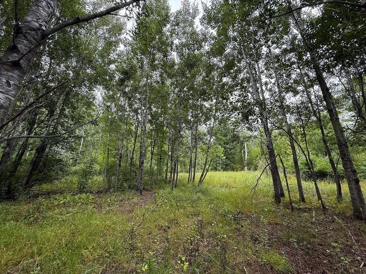Property Photo: 10046 Legionville Road MN 56401