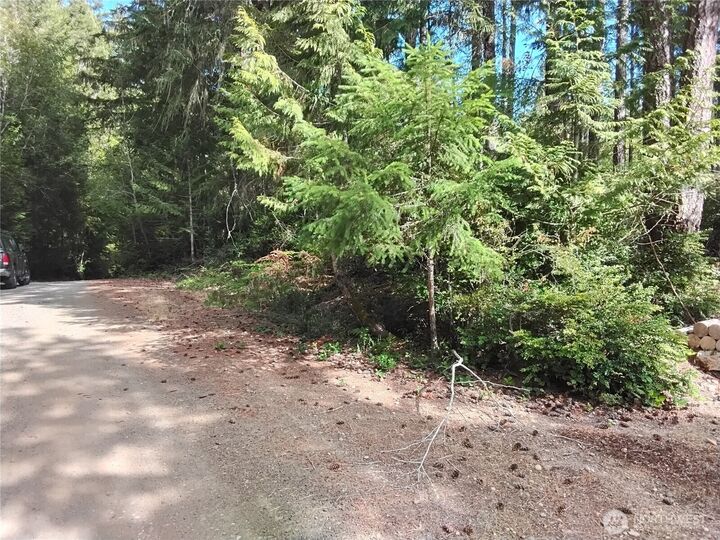 Property Photo:  0 E Frontier Road  WA 98546 
