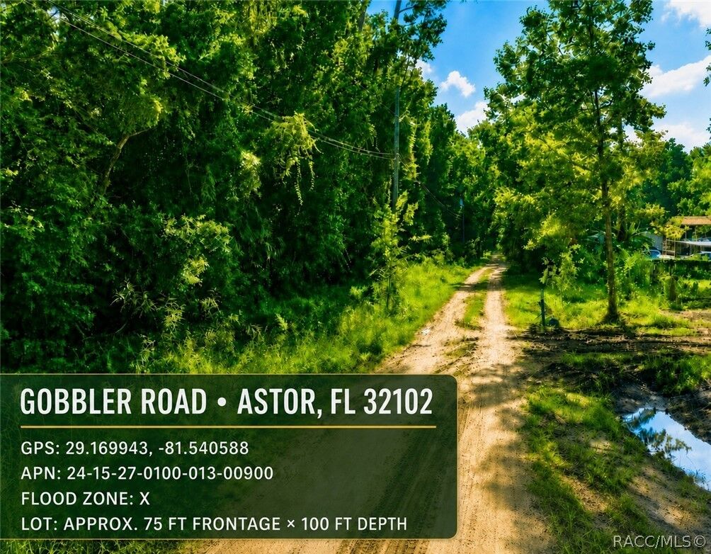 Property Photo:  0 Gobbler Road  FL 32102 