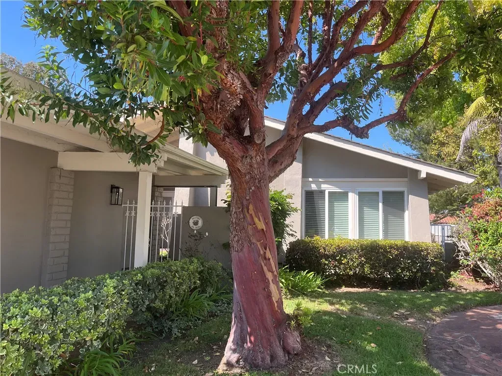 Property Photo:  424 Onda  CA 92660 