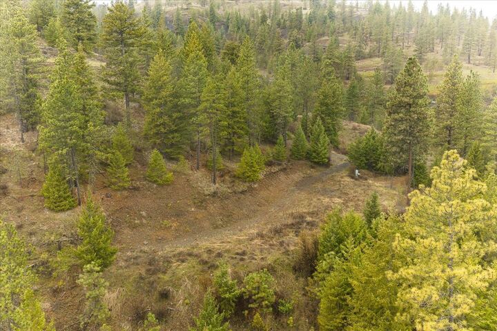 Property Photo: 35394 Spruce Grouse Ln N WA 99122