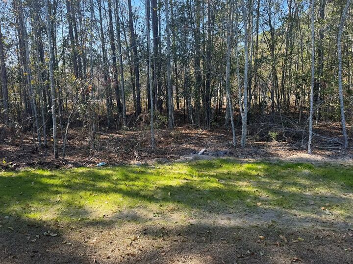 Property Photo: 52 Sloans Village Way SE GA 31768