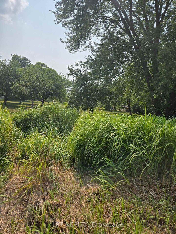 Property Photo:  N/A Metro Road N  ON L4P 3C8 