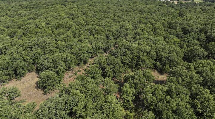 Property Photo:  000 County Road 1600  OK 73098 