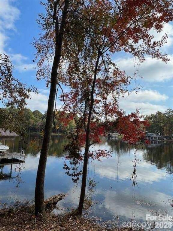 Property Photo: 217 Sandy Point Lane 12 SC 29550